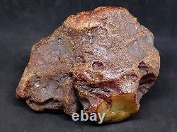 Amber White Raw Baltic Stones Natural Nuggets 253gr