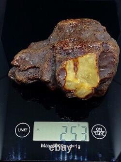 Amber White Raw Baltic Stones Natural Nuggets 253gr