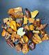 Amber White Raw Baltic Stones Natural Nuggets 898gr Royal Landscape