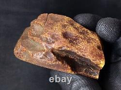 Amber White Raw Baltic Stones Natural Nuggets 92gr