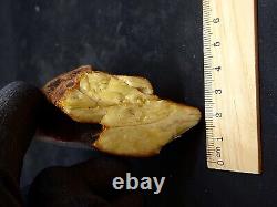 Amber White Raw Baltic Stones Natural Nuggets 92gr