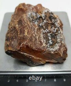 Amber baltic natural raw stone waxwhite Chips Bead Pendant Cabochon