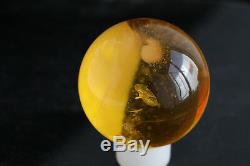 Amber bead 24.3g 34mm pendant no hole 100% natural Ball