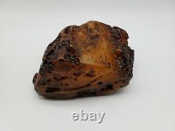 Amber raw stone 1039g natural baltic rock z28