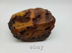 Amber raw stone 1039g natural baltic rock z28