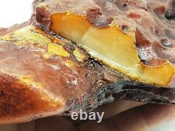 Amber raw stone 1053g natural baltic rock z29