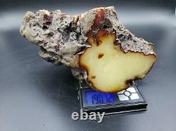 Amber raw stone 1907g natural baltic rock d14