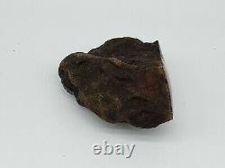 Amber raw stone 209g natural baltic rock e20