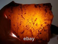 Amber raw stone 355g natural baltic rock l21