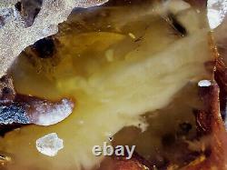 Amber raw stone 364g natural baltic rock m26