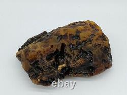 Amber raw stone 460g natural baltic rock e34