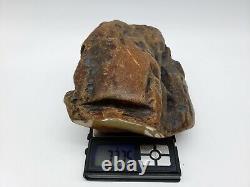 Amber raw stone 777g natural baltic rock z26