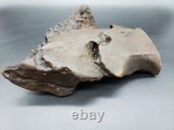 Amber raw stone 813g natural baltic rock d10