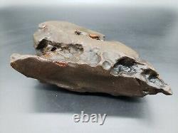 Amber raw stone 813g natural baltic rock d10