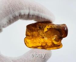 Amber stone Natural Raw amber piece Genuine Baltic Amber stone Natural amber