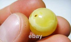 Amber stone Natural baltic Amber stone round collectors gemstone amber 3.07gr