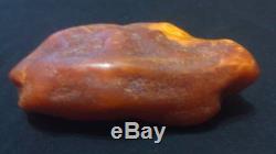 Antique 100% Natural Baltic Amber Stone 87.4 gr. Egg Yolk Butterscotch