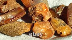 Antique Amber Stones Baltic Natural Collectible Ancient Color Europe Stones