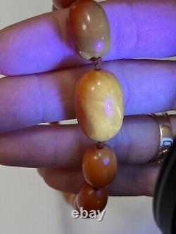 Antique Baltic Amber Necklace Butterscotch Egg Yolk Art Deco Beads 21.5 G