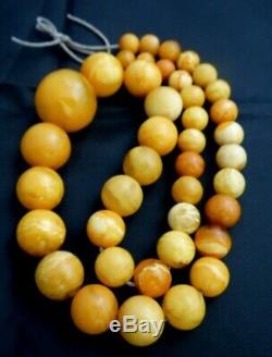 Antique Baltic Amber Old Butterscotch eggyolk Natural Beads Necklace 52