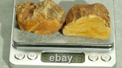 Antique Baltic Natural 2 Amber Stones 57 G Fedex 5 Days Fast Worldwide Shipping