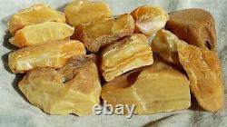 Antique Baltic Natural Amber Big Fat Form Stones 517 Grams Honey White Colours
