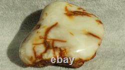 Antique Baltic Natural Amber Stone 36 G Europe Investment Asset