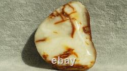 Antique Baltic Natural Amber Stone 36 G Europe Investment Asset
