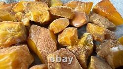 Antique Baltic Natural Amber Stones 155 G White Yellow Rare Europe Amber