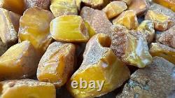 Antique Baltic Natural Amber Stones 155 G White Yellow Rare Europe Amber