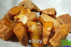 Antique Baltic Natural Amber Stones 169 G High Class Natural Collectible Stones