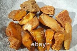 Antique Baltic Natural Amber Stones 169 G High Class Natural Collectible Stones