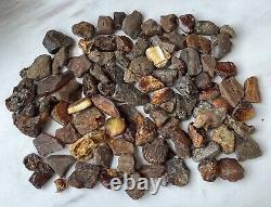 Antique Baltic Natural Amber Stones 350 G. Amber Stones From Europe