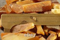 Antique Baltic Natural Authentic Amber Stones Cuts 147 Grams