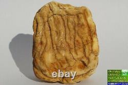 Antique Baltic Natural White Amber Stone 25 G Fedex Fast 4-5 Days Worldwide Ship