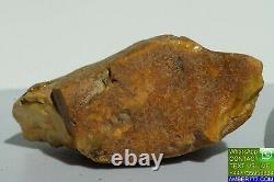 Antique Baltic States Natural Amber Yellow White Color Stone 23 Grams
