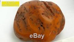 Antique Baltic natural big amber stone 873 grams! VERY RARE