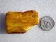 Antique Genuine Butterscotch Baltic Semi Polished Amber Stone 23,2 gr