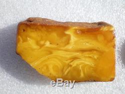 Antique Genuine Butterscotch Baltic Semi Polished Amber Stone 23,2 gr
