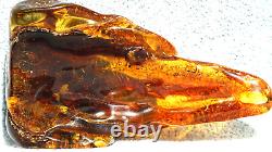 Antique Natural Amber Stone 32 Gr With Big Size Fossil Inclusion Mosquito Insect