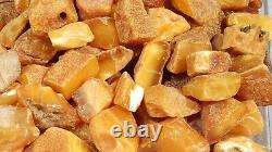 Antique Natural Baltic Amber High Color Class Stones 156 G Fedex Fast Shipping