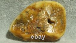 Antique Natural Baltic Amber Stone White Colour Collectible Asset From Europe