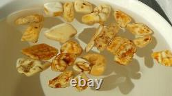 Antique Natural Baltic Amber White Stones High Class Yelow White Colour Stones