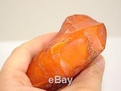 Antique Natural Baltic Egg Yolk Butterscotch Amber 75.9 Grams