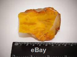 Antique Natural Baltic Egg Yolk Butterscotch Amber 91.8 Grams