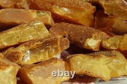 Antique Natural Baltic High Class Color Amber Stones 232 G Fast Fedex Shipping