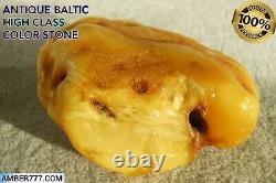 Antique Natural Baltic Sea Amber Collector Stone 73 G Fedex Fast Shipping