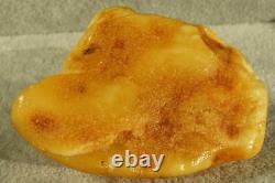 Antique Natural Baltic Sea Amber Collector Stone 73 G Fedex Fast Shipping