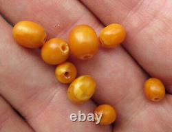 Antique Natural Butterscotch Egg Yolk Baltic Amber Beads 11g