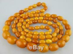 Antique Natural Butterscotch Egg Yolk Baltic Amber Necklaces 59 grams